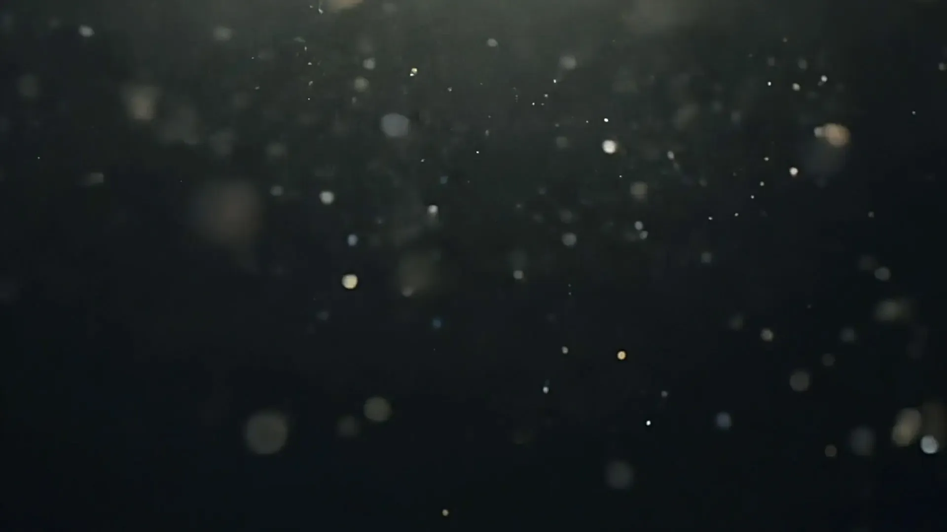 Elegant Dark Dust Particle Overlay for Luxury Promo Videos